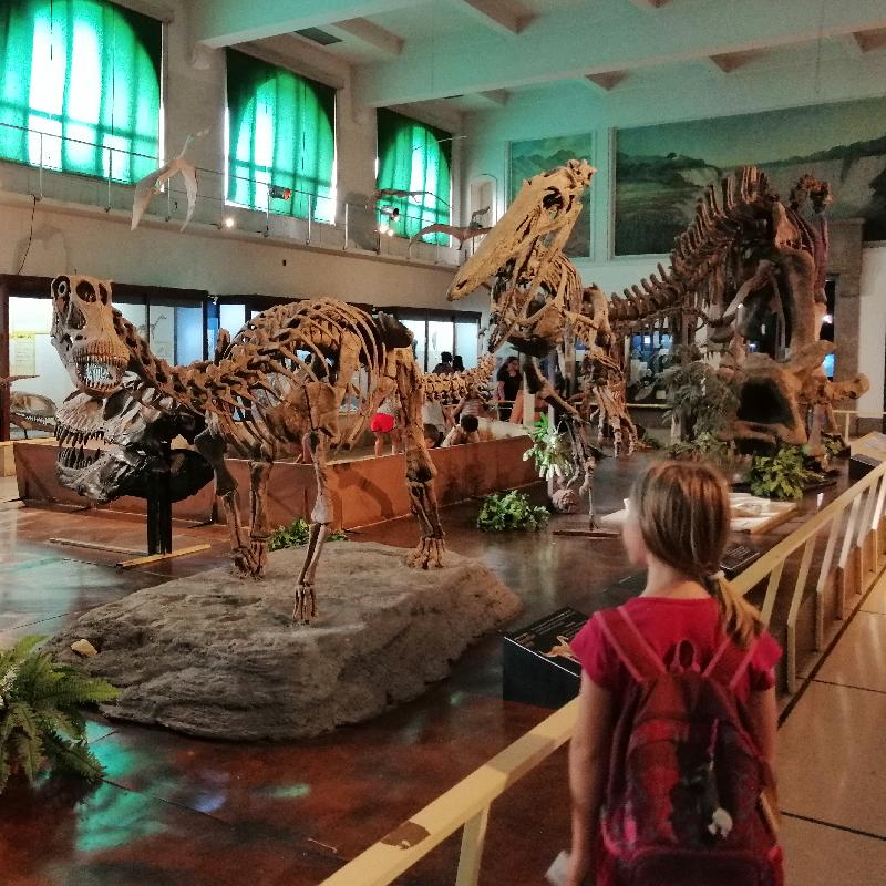Buenos aires : musée d'histoire naturelle